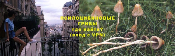 не бодяженный Беломорск
